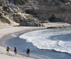 Lets go Horse Riding in Gansbaai!
